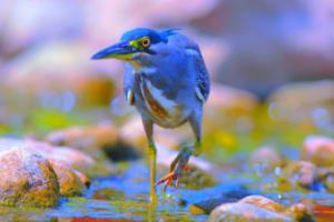 德甲联赛数量统计最新，2023赛季数据解析德甲联赛数量统计最新